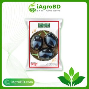 Apurba Hybrid Begun Seeds ispahani agro - iAgroBD