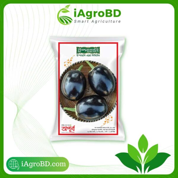 Apurba Hybrid Begun Seeds ispahani agro - iAgroBD