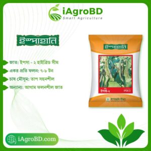 Ipsa-2 |Higher yielding country bean Seeds - iAgroBD