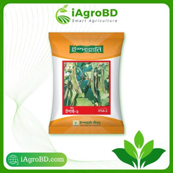 Ipsa-2 |Higher yielding country bean Seeds - iAgroBD