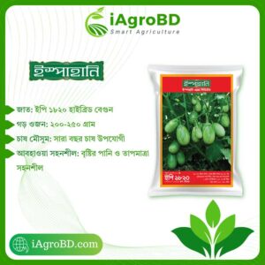 EP 1820 Hybrid Begun seed ispahani agro