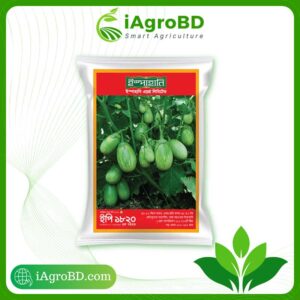 EP 1820 Hybrid Begun seed ispahani agro