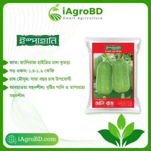 Jali Raj - জালিরাজ, Hybrid Begun Seed
