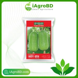 Jali Raj - জালিরাজ, Hybrid Begun Seed