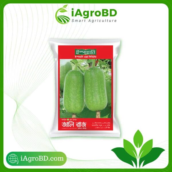 Jali Raj - জালিরাজ, Hybrid Begun Seed