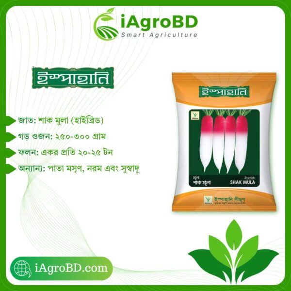 শাক মুলা Seeds - iAgroBD Shak Mula Seed